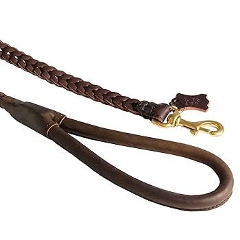 Amazon | 犬用本革リード 丸革 三つ編み付 180cm 茶色